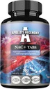 APOLLO'S HEGEMONY NAC+ 150 מ"ג - N-Acetyl L-Cysteine ו- Artichoke Extract, 300 טבליות טבעוניות, 1200 משרתות, Amino Acid Dietary תוסף, תומך Detox ו- Liver Healthr Health