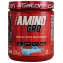 אבקת ISatori Amino-GRO BCAA, Chain Amino Acids עם Glutamine, אבקה אלקטרוליטית ו Bio-GRO Bio-Active Peptides עבור שריר צמיחה פוסט עבודהout Recovery, Blue Razz Snow Cone (30 משרתים)