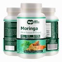 Moringa Tablets עם Turmeric וג'ינג'ר, 300 גלולות, 5 חודשים אספקה, 150 משרת, 1000 מ"ג לכל משרת. קפסולה אחת עם יתרונות מרובים - תמיכה בבריאות העיכול (Pack of 1)