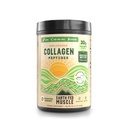 כדור הארץ פד שריר Collagen Peptides אבקת חלבון לא מעובד לנשים וגברים | תומך שיער, עור, ריחות, מפרקים & Recovery | סוכר & Gluten-Free, Keto Friendly, 20g Per Serve