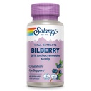 SOLAרי בילברי ברי הוציא 60 מ"ג | Powerful Antioxidant