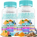 10in-1 Immune Support with Elderberry, D3, Selenium, Quercetin, Zinc, ויטמין C, ג'ינג'ר, Turmeric Curcumin, B6, Echinacea - Immune Defense - Made in USA (60 Count (Pack of 2).