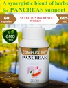 Pancreas ניקוי Detox & תיקון תוסף עם כל טבעי פאפאין אנזים, Bromelain, Pineapple Extract, Zinc, Chromium, Manganese. תרגום לעברית עבור: Revitalizer & Detox Formula for Gut Health