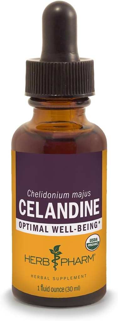 Herb Pharm מוסמך אורגני Celandine נוזל לחלץ, 1 Fl Oz