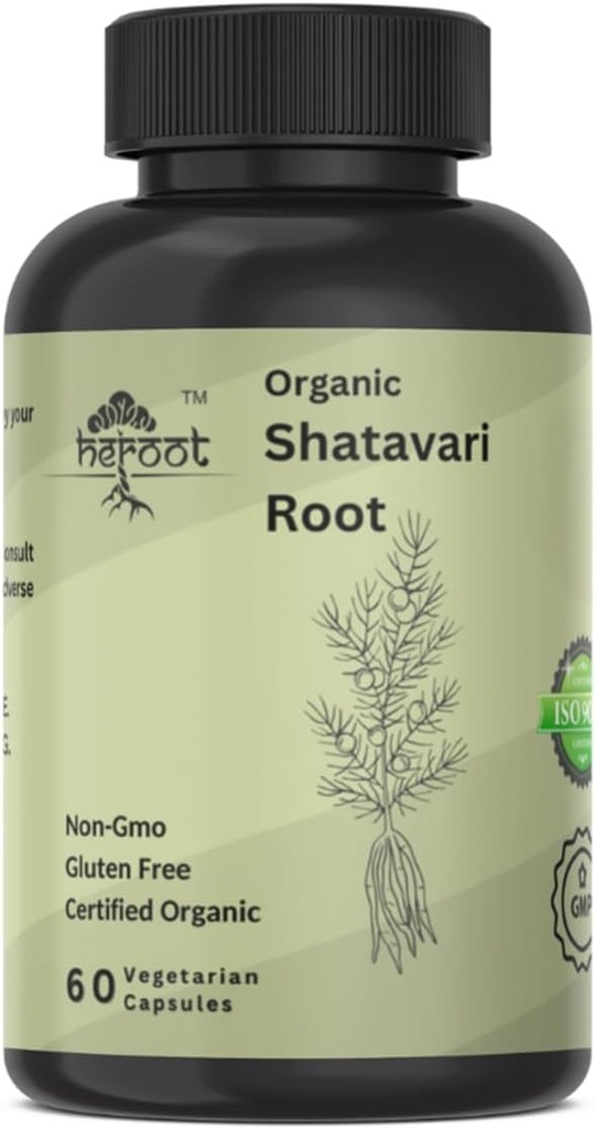 אורגני Shatavari Root 500 מ"ג (Asparagus Racemosus) Menstrual Cramp הקלה, Menopause Support, and Women's Health | 60 קפסולות