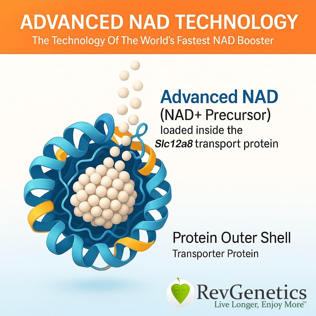 תוספת NAD+ מתקדמת, 60 קפסולות - תוספת תזונתית להזדקנות בריאה וארוכות