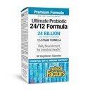 Natural Factors Ultimate Probiotic 24/12 פורמולה - תוספת לתמיכה בבריאות העיכול עם Probiotics - Immunity & Gut Health Support Supplement - 60 קפסולות צמחוניות (60 משרתים)