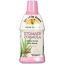 לילי מן המדבר Stomach פורמולה, אורגני Aloe Vera Juice with Slippery Elm, Chamomile, Peppermint וג'ינג'ר לבריאות Gut, Acid Reflux, Heartburn Relief, 32 Oz
