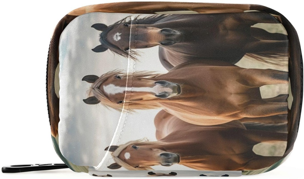 Horse Pill Organer Case Portable Weekly Pill Case Bag מאורגן עם Zipper for Supplements Medicine Travel Family Business