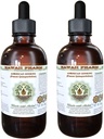 American Geneseng Alcohol-Free Extract, גינזנג (Panax Quinquefolius) Dried Root Glycerite הוואי Pharm טבעי צמחייה 2x4 oz