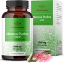 HerBAMAMA Mimosa Pudica Seed קפסולות - 1000 מ"ג Mimosa Pudica לחלץ אבקה עבור ניקוי העיכול ו Detox - טבעוני, תמיכה non-GMO Digestive, 100 Caps Capsosa Pudica Extraction