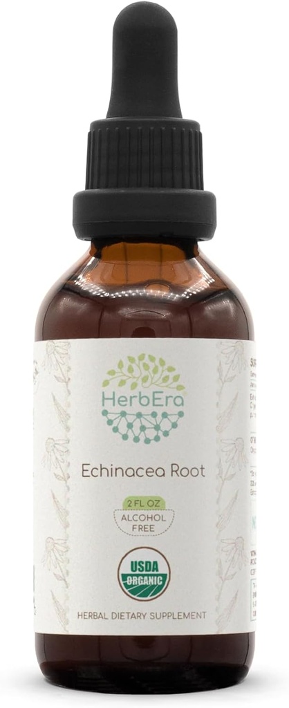 HerbEchinacea Root B60 USDA אורגני Tincture | מזון ללא אלכוהול, High-Potency Herbal Drops, Immune System Health | Certified Echinacea Root (Echinacea Purpurea) Dried Root (2 fl)