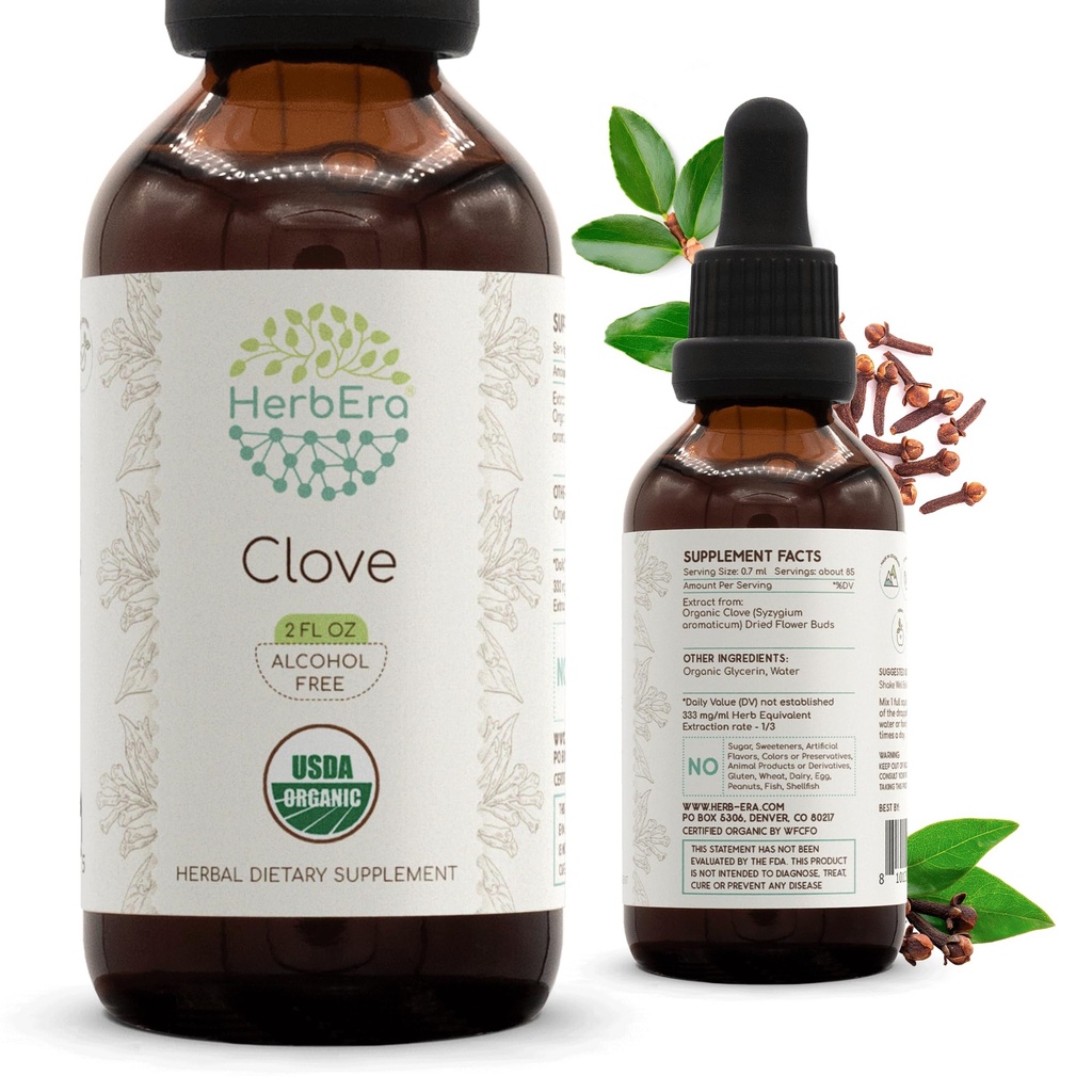 HerbEra Clove USDA Organic Tincture | Alcohol-Free Extract, Herbal Drops, Immune System Health | Certified Organic Clove (Syzygium Aromaticum) Dried Flower Buds (2 fl oz)