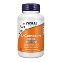תוספי מזון עכשיו, L-Carnosine (Beta-Alanyl-L-Histidine) 500 מ"ג, הזדקנות בריאה, 100 ואג קפסולות