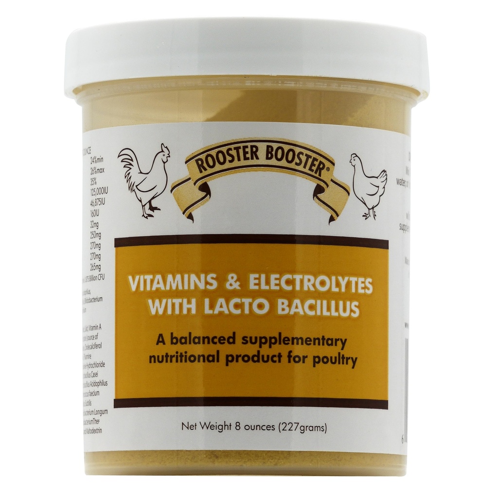 Roster Booster ויטמינים ואלקטרוניקה עם Lactobacillus, טבעי, 8 oz.