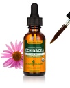 Herb Pharm אורגני Echinacea שורש לחלץ, אלכוהול חינם: תמיכה מערכת החיסון עבור All Seasons, Fast-Acting Echinacea צמח תוספת, non-GMO, טבעוני וגלוטן חינם, 1 Oz