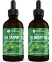 360 תזונה Chlorophyll נוזל טיפות עם שמן Pepperנט, GF & Body פנימי Deodorant תוסף, תמיכה בריאות, עיכול, אנרגיה, עור רדיאנט, ירידה מהירה (4 Fl Oz (2 Count)