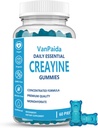 Creatine Gummies Monohydrate, Chewable Creatine Monohydrate, שריר Boost, אנרגיה Boost, תוספת טרום-עבודה, משופר Bursts, טבעוני, תמיכה צמיחה שרירים, התאוששות & ביצועים, Gluten חינם