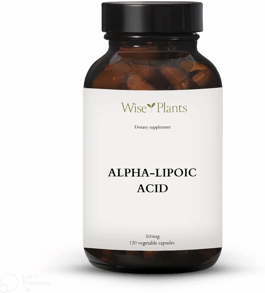 Alpha-Lipoic Acid - Non-GMO - 500 מ"ג, 120 משרתות (4 חודשים אספקה), רמות אנרגיה, רמות תמיכה מיצונדריה