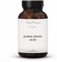 Alpha-Lipoic Acid - Non-GMO - 500 מ"ג, 120 משרתות (4 חודשים אספקה), רמות אנרגיה, רמות תמיכה מיצונדריה