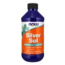 תוספי מזון עכשיו, Silver Sol 10 PPM עם כסף אלמנטרי מים, נוזל, 8-Ounce