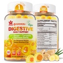 ג'ינג'ר Chews חניכיים עבור Nausea & Digestive Support, Stomach Relief - סוכר חינם עם Turmeric & Odorless Garlic, Quercetin, ויטמין D3, C, תוספי תזונה טעימים, 60Cts (Pack of 1)