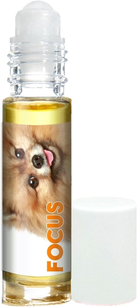 הכלב המשמח פפון פוקוס כלבים Aromatherapy for Canine Concentration