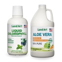 Land Art Aloe Vera Drinkable Gel - Orange Tangerine Flavored - Cold-Processed - Organic Fresh Leaves - 64floz + נוזל Chlorophyll Mint Flavored - Cold Extracted from Wild non-GMO Alphalfa - 16floz