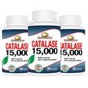 עלייה-N-Shine Catalase תוסף 15,000 - Powerful Antioxidant Enzyme for Hair Health - תוספי שיער לשיער חזק - 90 קפסולות - חבילת 3 בקבוקי גודל מלא (90 ימים אספקה)