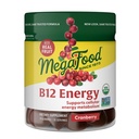 מגה מזון ויטמין B12 אנרגיה חניכיים - טבעוני - עם Methyl B12 ויטמינים לתמוך ייצור חשמל סלולרי - Cranberry - יומי ויטמין B12 תוסף - USDA אורגני - 70 מסטיקנים, 35 משרתים