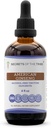 סודות של השבט האמריקאי ג'ינסנג Tincture Alcohol-Free Extract, Farm Grown American Geneseng (Panax Quinquefolius) Dried Root (4 FL OZ)
