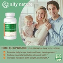 טבעוני Prenatal DHA 440 מ"ג - Lutein 20 מ"ג הריון - Non-GMO טרום לידתי Multivitamin עבור נשים בהריון תמיכה בריאות המוח, עין והלב בפיתוח של התינוק - 60 Softgels