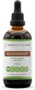 Secrets of the Tribe Bloodroot Alcohol Tincture Extracted Bloodroot (Sangeearia Canadensis) Dried Root Tincture תוסף (4 fl oz)
