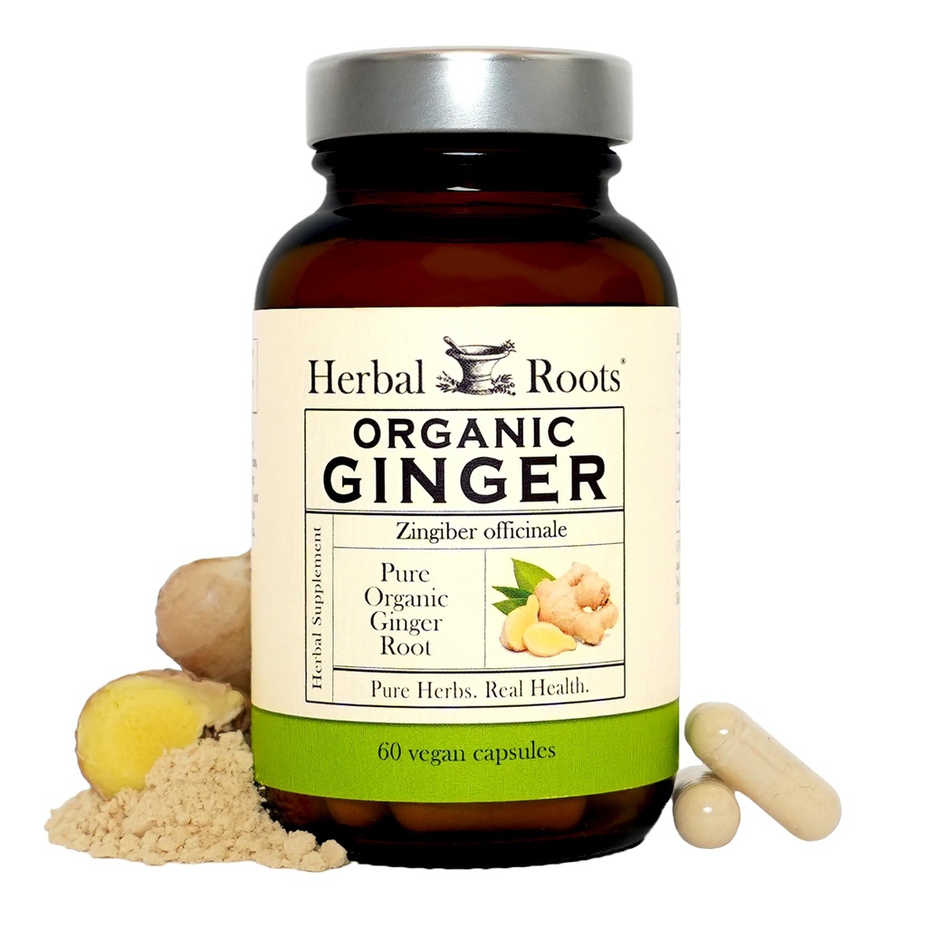 Herbal Roots ג'ינג'ר | אורגני ג'ינג'ר שורש קפסולות | 1,200 מ"ג של אבקת ג'ינג'ר טהורה לשרת | 60 קפסולות טבעוניות