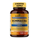 SANDHUHERBALS Sandhu Herbals Echinacea Goldenseal 1000 Mg 120 קפסולות | Immune System Support Respiratory Response inflammatory תוסף תגובה
