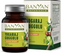 Banyan הבוטנים יוגהraj Guggulu - תמיכה משותפת אורגנית תוספת ­­-Ayurvedic בלגן לתמיכה במערכות Skeletal ו Neuromuscular * - 90 טבליות - Non-GMO, ללא ספק מקור, טבעוני