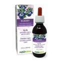 Naturalma Bilberry או European Blueberry (Vaccinium myrtillus) פירות אלכוהול חינם Tincture - 4 oz נוזל לחלץ טיפות - Herbal תוסף - טבעוני