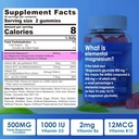 Magnesium תוסף 500 מ"ג, Magnesium Complex Gummies w / מגנזיום Glycinate, Malate, Citrate, D3, B6, B12 for Sleep, Migraine Relief, שריר ועצמות, Absorption Magnesium, 2 Pack תוסף