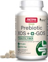Jarrow Formulas Prebiotic XOS + GOS - תוסף מורכבות סיבים - 90 טבליות Chewable - Enriches & Nourishes Gut Microbiome - תומך צמיחה של Beneficial Bacteria - 30 משרתים