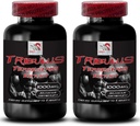 Natural Stamina Boost - TRIBULUS TERRESTRIS לחלץ - חיזוק ופעילות, אנרגיה אופטימיזציה פורמולה, כוח מבוסס צמחים, סביבת ביצועים גוף, Active Recovery, Energy Flow 2Bot 180Tabs