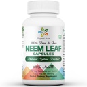 Aura Neem כמוסות. 100% טהור ופוטנטי. Raw Green Whole Superfood מיוצר עם כל ספקטרום עוזב. נס Detoxifying Agent