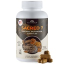Naturealm Sacred 7 Organic Mushroom לחלץ קפסולות - Premium 7 Mushroom תוספת עם Lions Mane, Reishi, Chaga - USDA אורגני תמיכה וריכוז - 90 קפסולות צמחוניות