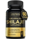 אטלנטיס תזונה ההימלאיה Shilajit קפסולות פורמולה עם 20% Fulvic Acid; 10:1 לחלץ 10,000 מ"ג D.H.E. | ארה"ב יצרה | תוספת ההימלאיה Shilajit לגברים ונשים | 60 קפסולות