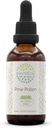 HerbEra Pine פולן B60 אלכוהול חינם Herbal לחלץ Tincture, excentrated נוזל טיפות טבעי (Song Hua פן, סקוטי פין, Pinus Silvestris) 2 fl oz