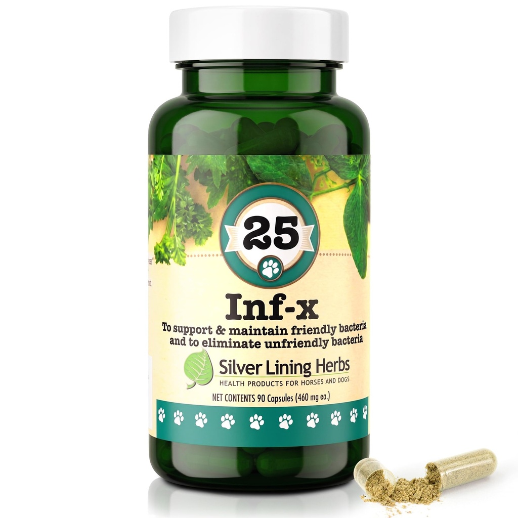 Silver Lining Herbs 25 Canine INF-X - מסייע לשמור על רמות עיכול בריאות - תמיכה טבעית עבור תהליך מבוזר רגיל - תוספי בריאות צמחי לכלבים - 90 קפסולות