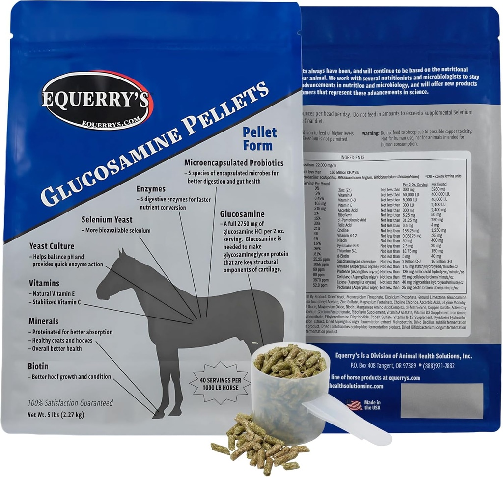 Equerry's Glucosamine Pellets - תמיכה משותפת עבור סוסים עם פרוביוטיקה, Enzymes עיכול, ויטמינים ומינרלים - המיוצר בארה"ב