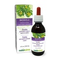 Naturalma Rhodiola Rosea (Sedum Roseum) Root Alcohol-Free Tincture - 4 fl oz נוזל לחלץ טיפות - Herbal תוסף - טבעוני