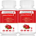 Liposomal Urolithin A תוסף 2000MG לאנרגיה 120 קפסולות