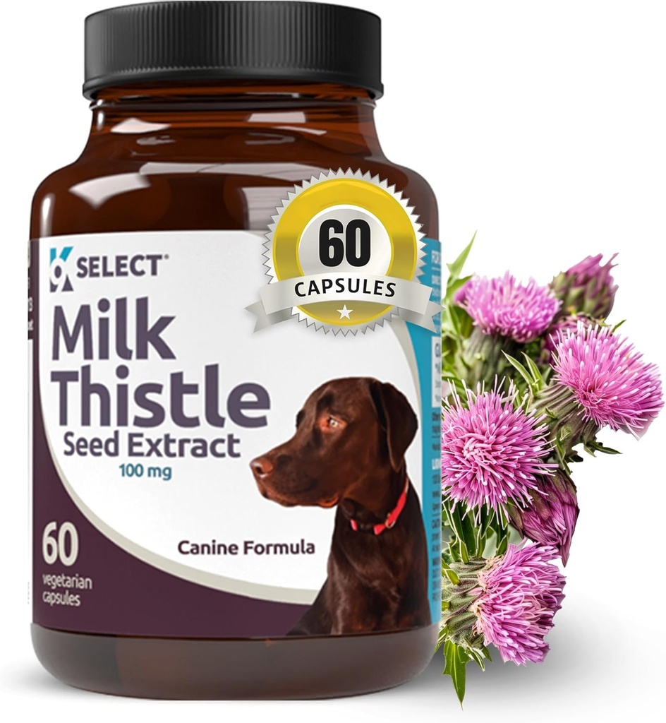 K9 בחר חלב מחט לכלבים, 100 מ"ג - 60 קפסולות ירקות - Canine Liver Health Milk Thistle תוספת - חלב Herbal