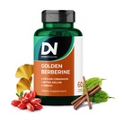 4in-1 זהב ברברין תוספת עם Ceylon Cinnamon Bitter Melon גינקו, Boosts Immunity, Gut & Heart Health, 60 קפסולות לתמיכה במטבוליזם, Made בארצות הברית